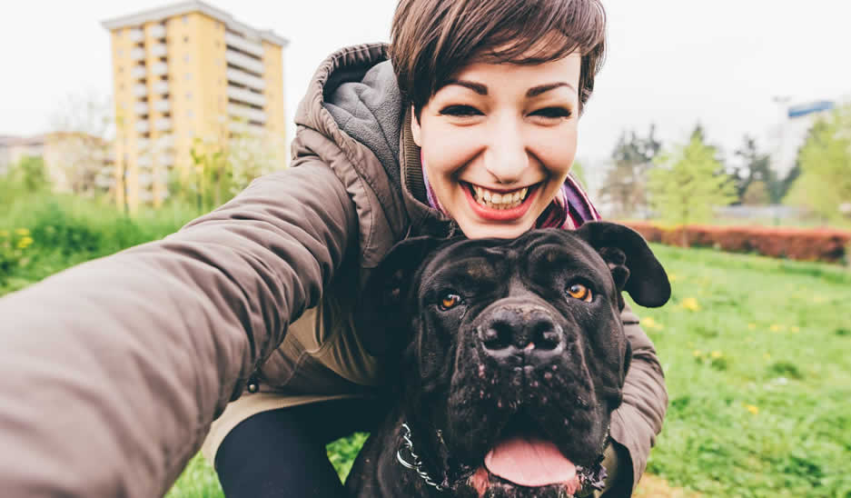 PetJoy >What are the SAFEST, most EFFECTIVE Dog HIP+JOINT SUPPLEMENTS?